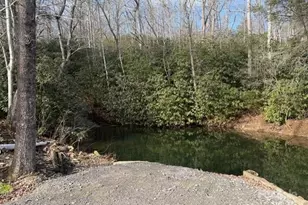 233 Arcadia Fls Wy, Black Mountain, NC 28711 - Photo 7