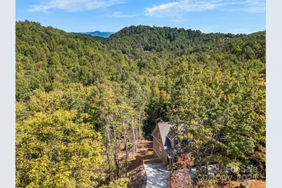 233 Arcadia Falls Way, Black Mountain, NC 28711 - Photo 37