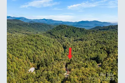 233 Arcadia Falls Way, Black Mountain, NC 28711 - Photo 43