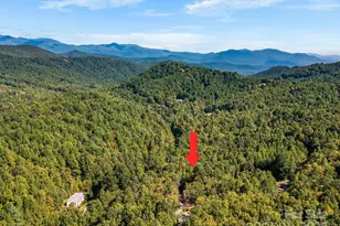 233 Arcadia Fls Wy, Black Mountain, NC 28711 - Photo 43