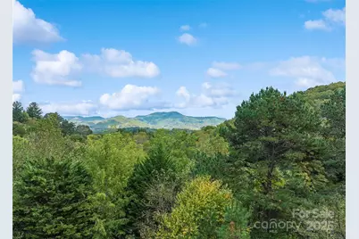 966 Coyote Hollow Road, Waynesville, NC 28785 - Photo 3