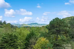 966 Coyote Hollow Rd, Waynesville, NC 28785 - Photo 3