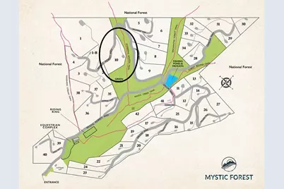 Lot 10 Mystic Forest Way #10, Bryson City, NC 28713 - Photo 41