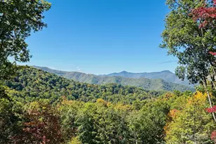 551 Macallan Dr, Waynesville, NC 28786 - Photo 35