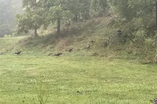 456 Maney Br Rd, Burnsville, NC 28714 - Photo 43