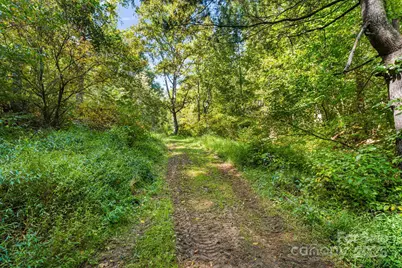 000 Maney Branch Road, Burnsville, NC 28714 - Photo 17