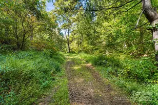 000 Maney Branch Rd, Burnsville, NC 28714 - Photo 17