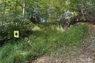 000 Maney Branch Rd, Burnsville, NC 28714 - Photo 47