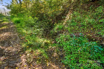 000 Maney Branch Road, Burnsville, NC 28714 - Photo 21