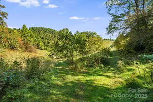 000 Maney Branch Rd, Burnsville, NC 28714 - Photo 33