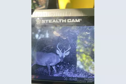 000 Maney Branch Road, Burnsville, NC 28714 - Photo 45