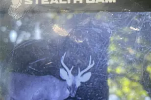 000 Maney Branch Rd, Burnsville, NC 28714 - Photo 45