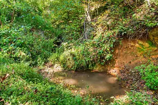 000 Maney Branch Rd, Burnsville, NC 28714 - Photo 15