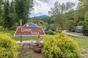 14 Llama Vista Ct, Black Mountain, NC 28711 - Photo 17