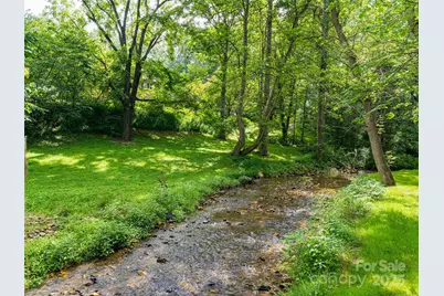 91 Carter Cove Road, Asheville, NC 28804 - Photo 43