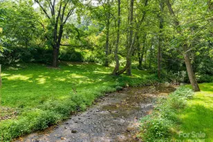 91 Carter Cove Rd, Asheville, NC 28804 - Photo 43