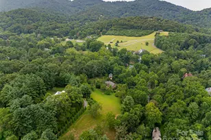 91 Carter Cove Rd, Asheville, NC 28804 - Photo 47