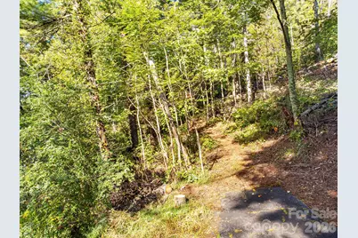 99999 Beaverbrook Road #2, Asheville, NC 28804 - Photo 5