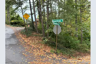 99999 Beaverbrook Road #2, Asheville, NC 28804 - Photo 33