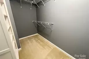 13769 Singleleaf Lane, Charlotte, NC 28278 - Photo 9