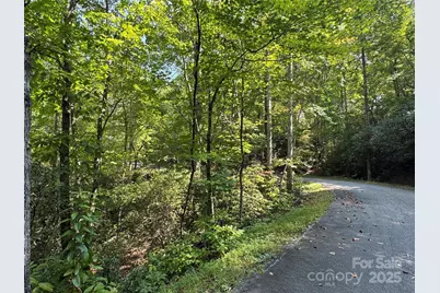 36 Bee Tree Point Court, Lake Lure, NC 28746 - Photo 15