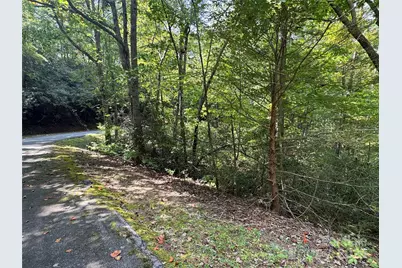 36 Bee Tree Point Court, Lake Lure, NC 28746 - Photo 17