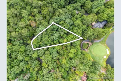 36 Bee Tree Point Court, Lake Lure, NC 28746 - Photo 3