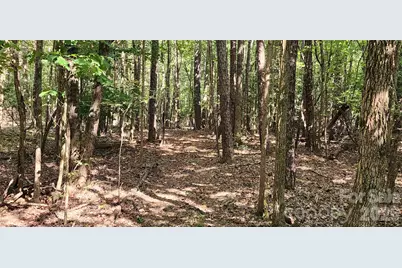 1115 John Short Road, Indian Land, SC 29707 - Photo 37