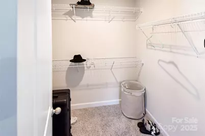 2312 Belterra Drive, Charlotte, NC 28216 - Photo 21