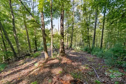 Tbd Anson G. Betts Road, Marshall, NC 28753 - Photo 5