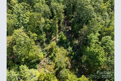 Tbd Anson G. Betts Road, Marshall, NC 28753 - Photo 7