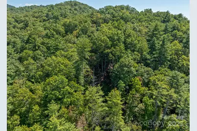 Tbd Anson G. Betts Road, Marshall, NC 28753 - Photo 9