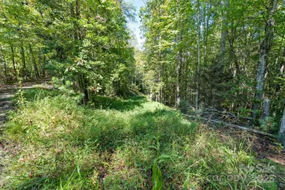 Tbd Anson G. Betts Road, Marshall, NC 28753 - Photo 13