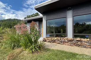 17 Fig Tree Ln, Asheville, NC 28803 - Photo 3