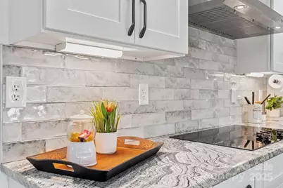 204 Mountain Spring Lane, Canton, NC 28716 - Photo 15