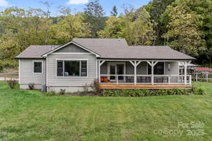 204 Mountain Spring Ln, Canton, NC 28716 - Photo 45