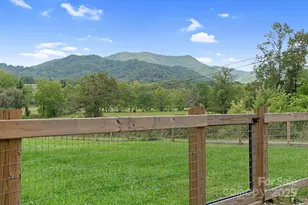 204 Mountain Spring Ln, Canton, NC 28716 - Photo 43