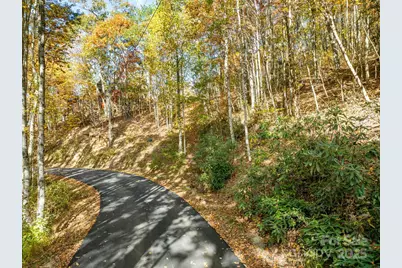 99999 Lytle Cove Road, Swannanoa, NC 28778 - Photo 3