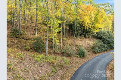 99999 Lytle Cove Road, Swannanoa, NC 28778 - Photo 11