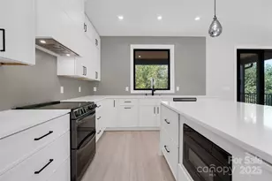 4 Tremorra Trail, Leicester, NC 28748 - Photo 15