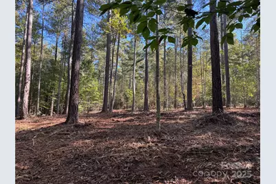 00 Hayes Mill Road #A-1, Granite Falls, NC 28630 - Photo 29