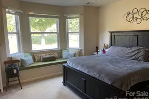 308 Tall Wheat Lane, Mount Holly, NC 28120 - Photo 17