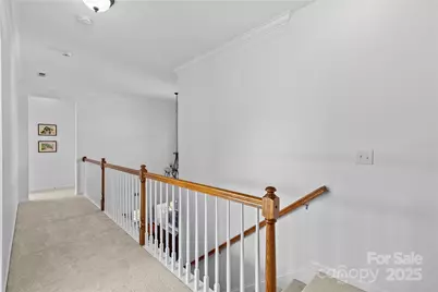 10605 Bere Island Drive, Charlotte, NC 28278 - Photo 17