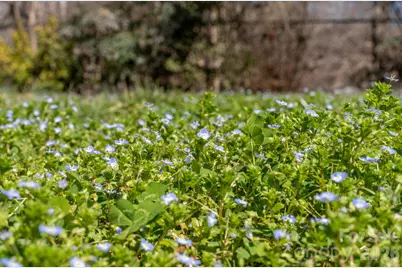 186 Tanner Street, Rutherfordton, NC 28139 - Photo 33