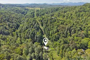 280 Panhandle Rd, Marshall, NC 28753 - Photo 33