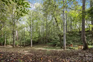 40 Mountain Shadows Dr, Leicester, NC 28748 - Photo 33