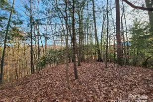 433 Deneen Rd, Burnsville, NC 28714 - Photo 21