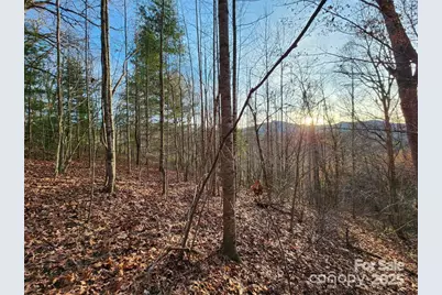 433 Deneen Road, Burnsville, NC 28714 - Photo 23