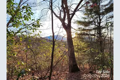 433 Deneen Road, Burnsville, NC 28714 - Photo 17