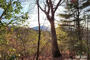 433 Deneen Rd, Burnsville, NC 28714 - Photo 17